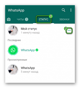 Как узнать, кто просматривал мой статус в WhatsApp?