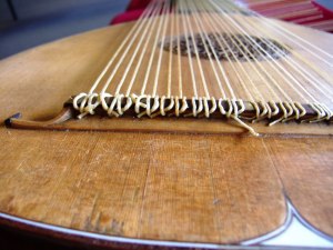 Почему исчезли струны музыкальных инструментов из кишок животных?