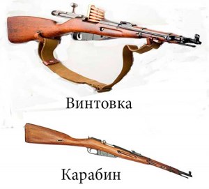 Чем карабин, винтовка и ружьё отличаются друг от друга?