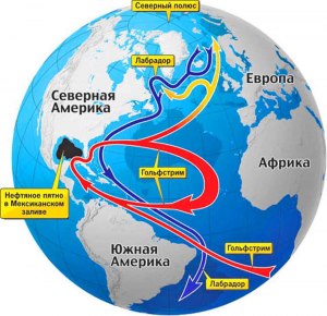 Чем грозит Миру остывающий по температуре Гольфстрим?