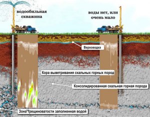 Как узнать есть ли вода под землей?