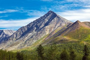 Чем покрыты Уральские горы?
