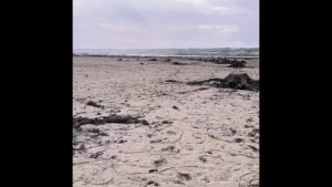 За какое время Каховское водохранилище наполнится водой (см. ниже)?