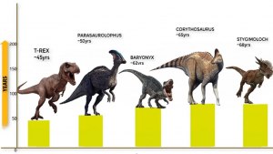 Как определили, сколько лет жили динозавры?