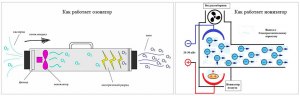 Чем отличается озонатор от ионизатора воздуха?