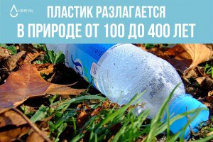 Как долго на самом деле разлагается пластик в природе? Почему?