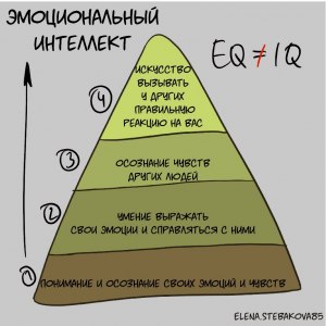 В чем разница между IQ и интеллектом и почему нельзя равнять эти понятия?