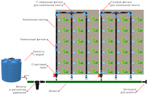 Какую магистральную трубу использовать для капельного полива?