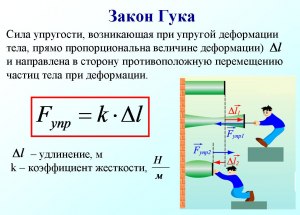 Для каких предметов в эксперименте выполнялся закон Гука растягивающей силы?