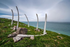 Как эскимосы построили огромное святилище в форме черепа кита?