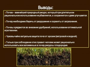 Почему в культурном слое В. Новгорода сохраняются органические материалы?