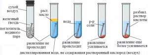 При минусовой в мороз ржавеет железо?