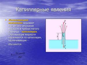 Что такое эффект капиллярности веществ?