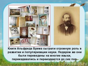 Какие ошибки есть в книгах Брема?