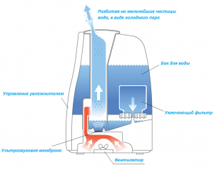 Как увлажнитель воздуха вырабатывает холодный пар?