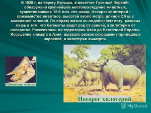 Кто такой хилотерий?