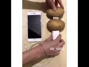 Можно ли действительно зарядить телефон картошкой? Как?