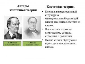 Кто является автором теории "Всё живое происходит из воды"?