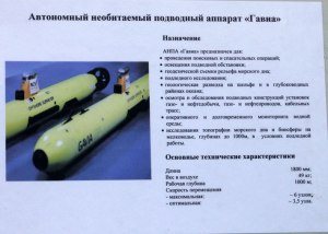 Для чего используют автономные необитаемые подводные аппараты (АНПА)?