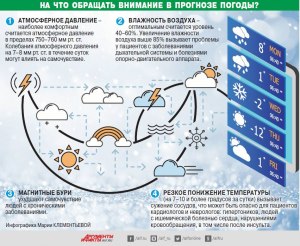 Почему в прохладную погоду резко падает влажность воздуха?