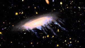 Где находится галактика Медуза - ESO 137-001?