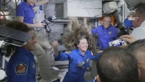 Когда космонавт Анна Кикина полетит на МКС на корабле Crew Dragon?