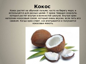 Какое боевое вещество связано с кокосовой пальмой?