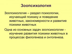 Что вы знаете о науке зоопсихологии и какие книги по ней можно прочитать?