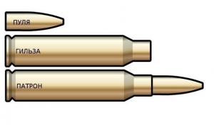 Чем отличается пуля от патрона?