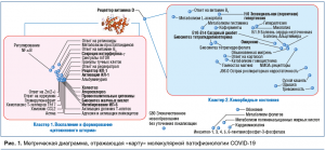 Какую взаимосвязь витамина D и коронавируса обнаружили учёные Крыма?