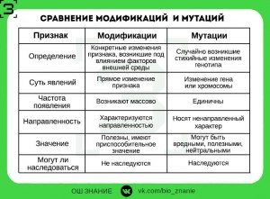 Трансформация и мутация. в чём разница?