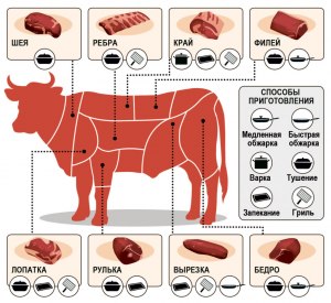 Пара стейков для эволюции: как мясо повлияло на анатомию человека?