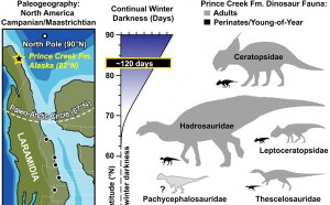 Что мы знаем о полярных динозаврах?