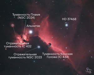 Какое расстояние от Земли до туманности Конская Голова, что знаете о ней?