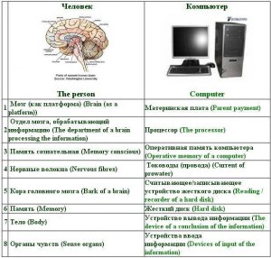Чем отличается оперативная память мозга человека от ОС компьютера?