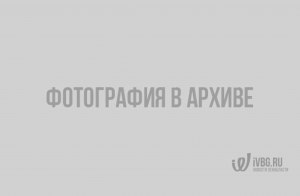 Какой будет численность населения планеты Земля к 2024 году?
