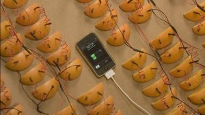 Можно ли зарядить телефон от апельсина?