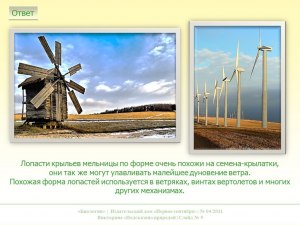 Ветряные мельницы и бионика - заимствовано ли у природы?