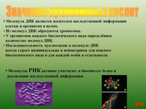 Какова роль ДНК или РНК, содержащейся внутри вирусной частицы?