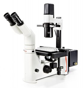 Чем отличаются инвертированные микроскопы от обычных?