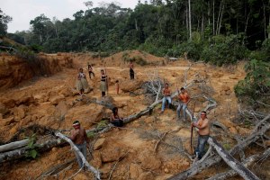 Почему уничтожение лесов Амазонки — проблема для всей планеты?