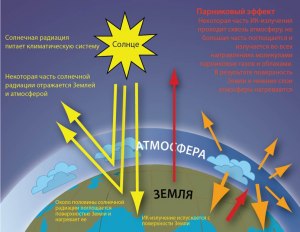 Что является «щитом» нашей планеты от солнечной радиации?
