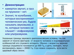 Почему человек не может слышать ультразвук или инфразвук?