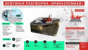 Какая птица относится к отряду кур, на севере ей помогают оперенные лапы?