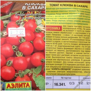 Сорт томатов "Клюква в сахаре" можно выращивать дома?