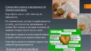 Работает ли у вас правило, что каждый год уродится или картошка или яблоки?