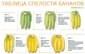 Как определить качество бананов?