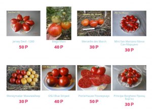 Огородник из Рязани, Ольга Фомичева: каталог семян томаты, перцы,где найти?