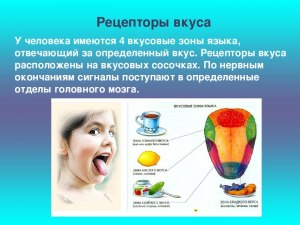 Есть ли у кур вкусовые рецепторы, ведь они жрут всё подряд?