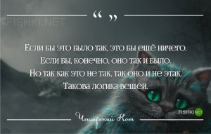 Как назвать кота - умудрённого жизнью, угрюмого и беспардонного?